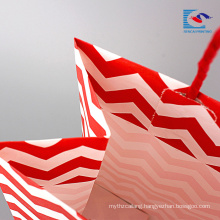 red and black lines custom made recycled different types of paper packaging bags